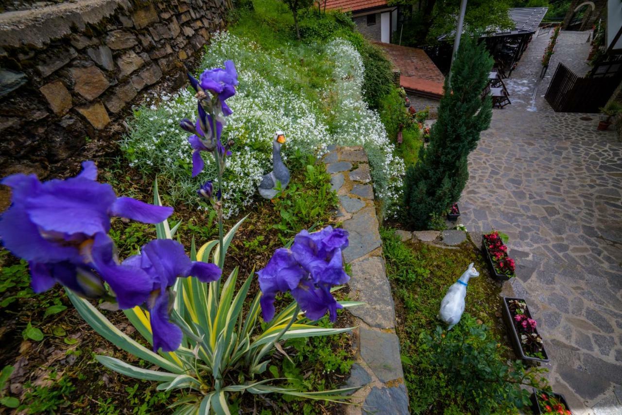 Hotel Manastir Sv. Joakim Osogovski Kriva Palanka Buitenkant foto